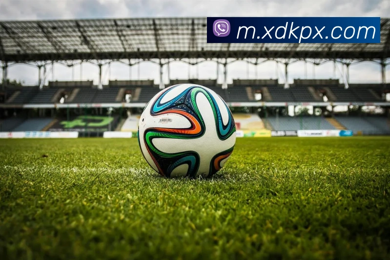 奖项证书